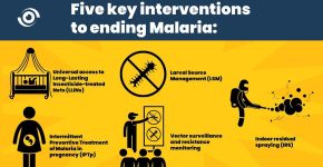 malaria