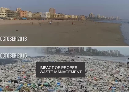 impact of waste management
