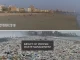 impact of waste management